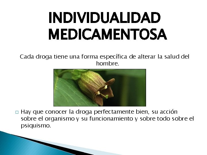 INDIVIDUALIDAD MEDICAMENTOSA Cada droga tiene una forma específica de alterar la salud del hombre. INDIVIDUALIDAD MEDICAMENTOSA Cada droga tiene una forma específica de alterar la salud del hombre.