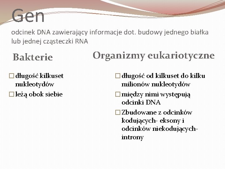 Gen odcinek DNA zawierający informacje dot. budowy jednego białka lub jednej cząsteczki RNA Bakterie