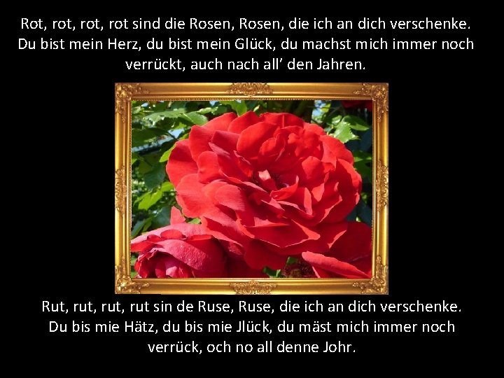 Rot, rot, rot sind die Rosen, die ich an dich verschenke. Du bist mein