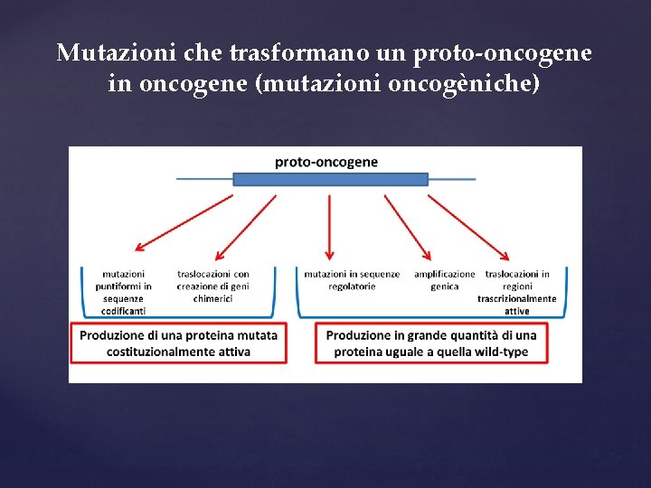 Mutazioni che trasformano un proto-oncogene in oncogene (mutazioni oncogèniche) 