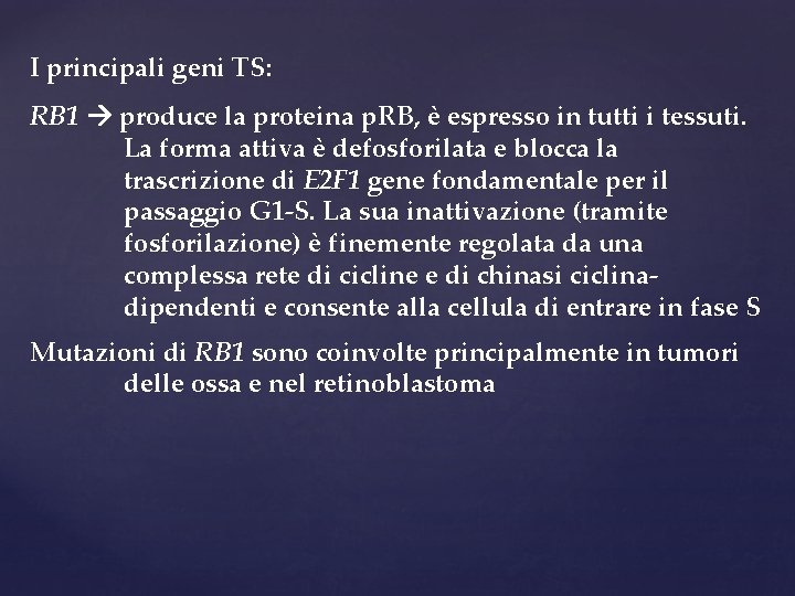 I principali geni TS: RB 1 produce la proteina p. RB, è espresso in