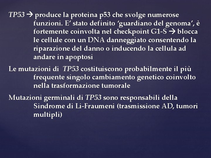 TP 53 produce la proteina p 53 che svolge numerose funzioni. E’ stato definito