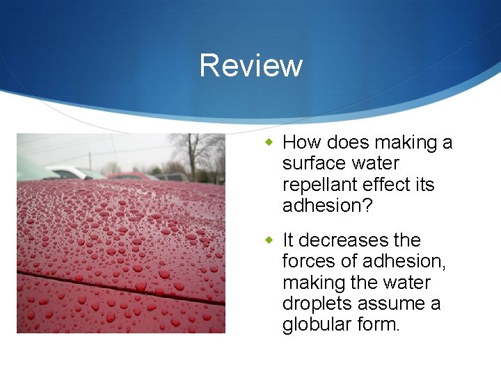 Review w How does making a surface water repellant effect its adhesion? w It