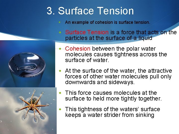 3. Surface Tension w An example of cohesion is surface tension. w Surface Tension