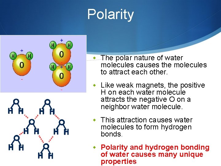 Polarity w The polar nature of water molecules causes the molecules to attract each