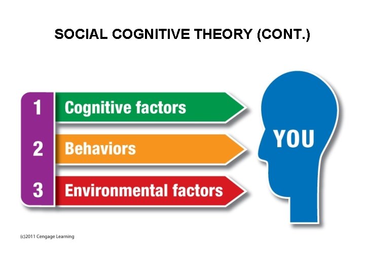 SOCIAL COGNITIVE THEORY (CONT. ) 