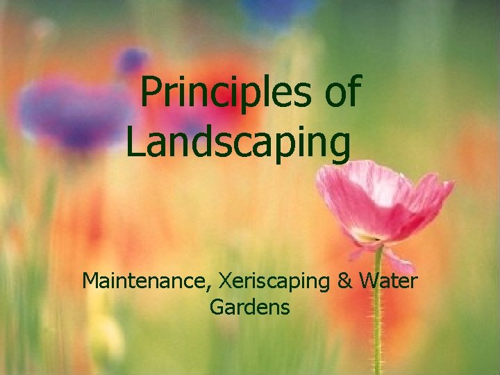 Principles of Landscaping Maintenance, Xeriscaping & Water Gardens Principles of Landscaping Maintenance, Xeriscaping & Water Gardens