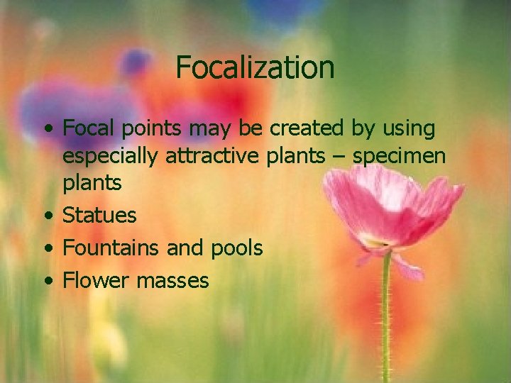 Focalization • Focal points may be created by using especially attractive plants – specimen Focalization • Focal points may be created by using especially attractive plants – specimen