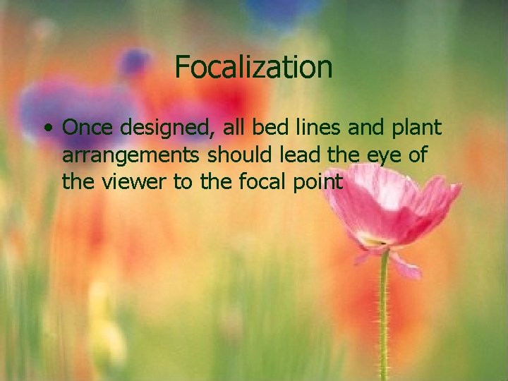 Focalization • Once designed, all bed lines and plant arrangements should lead the eye Focalization • Once designed, all bed lines and plant arrangements should lead the eye