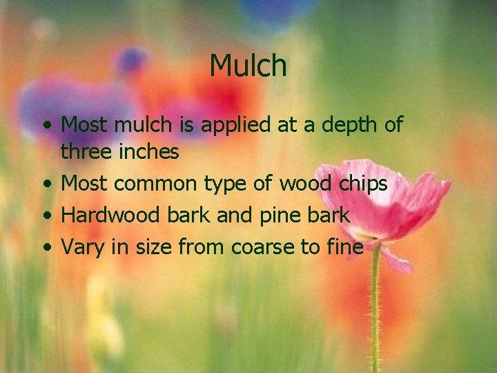 Mulch • Most mulch is applied at a depth of three inches • Most Mulch • Most mulch is applied at a depth of three inches • Most