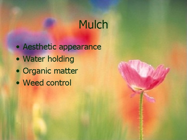 Mulch • • Aesthetic appearance Water holding Organic matter Weed control Mulch • • Aesthetic appearance Water holding Organic matter Weed control