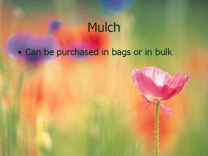Mulch • Can be purchased in bags or in bulk Mulch • Can be purchased in bags or in bulk