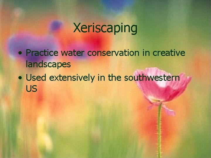 Xeriscaping • Practice water conservation in creative landscapes • Used extensively in the southwestern Xeriscaping • Practice water conservation in creative landscapes • Used extensively in the southwestern