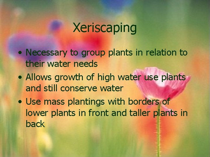 Xeriscaping • Necessary to group plants in relation to their water needs • Allows Xeriscaping • Necessary to group plants in relation to their water needs • Allows