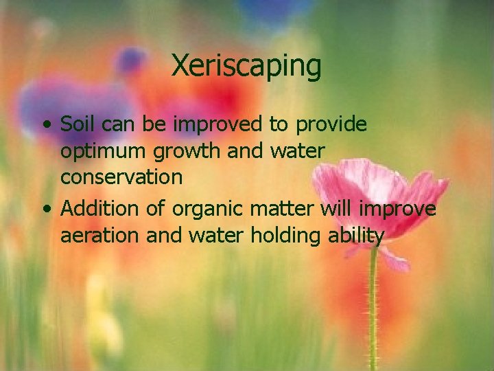Xeriscaping • Soil can be improved to provide optimum growth and water conservation • Xeriscaping • Soil can be improved to provide optimum growth and water conservation •