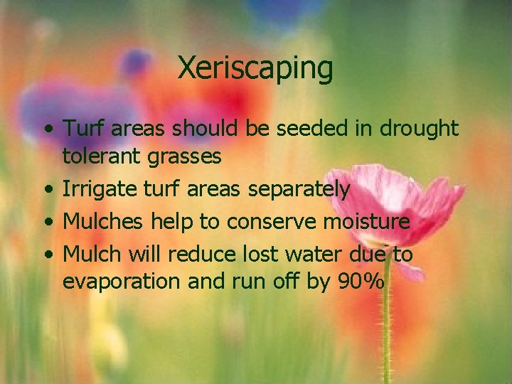 Xeriscaping • Turf areas should be seeded in drought tolerant grasses • Irrigate turf Xeriscaping • Turf areas should be seeded in drought tolerant grasses • Irrigate turf