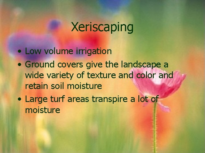 Xeriscaping • Low volume irrigation • Ground covers give the landscape a wide variety Xeriscaping • Low volume irrigation • Ground covers give the landscape a wide variety
