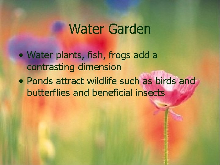 Water Garden • Water plants, fish, frogs add a contrasting dimension • Ponds attract Water Garden • Water plants, fish, frogs add a contrasting dimension • Ponds attract