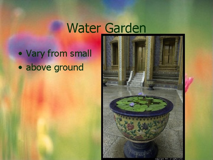 Water Garden • Vary from small • above ground Water Garden • Vary from small • above ground
