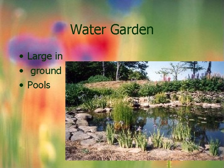 Water Garden • Large in • ground • Pools Water Garden • Large in • ground • Pools