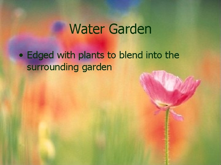 Water Garden • Edged with plants to blend into the surrounding garden Water Garden • Edged with plants to blend into the surrounding garden