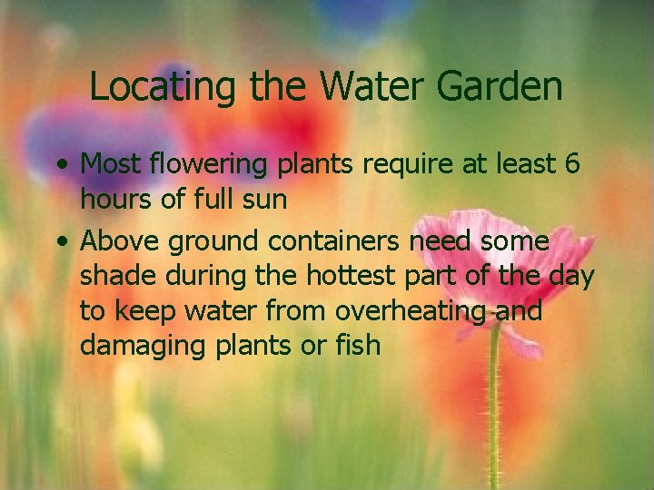 Locating the Water Garden • Most flowering plants require at least 6 hours of Locating the Water Garden • Most flowering plants require at least 6 hours of