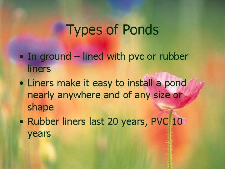 Types of Ponds • In ground – lined with pvc or rubber liners • Types of Ponds • In ground – lined with pvc or rubber liners •
