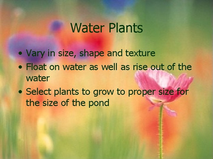 Water Plants • Vary in size, shape and texture • Float on water as Water Plants • Vary in size, shape and texture • Float on water as