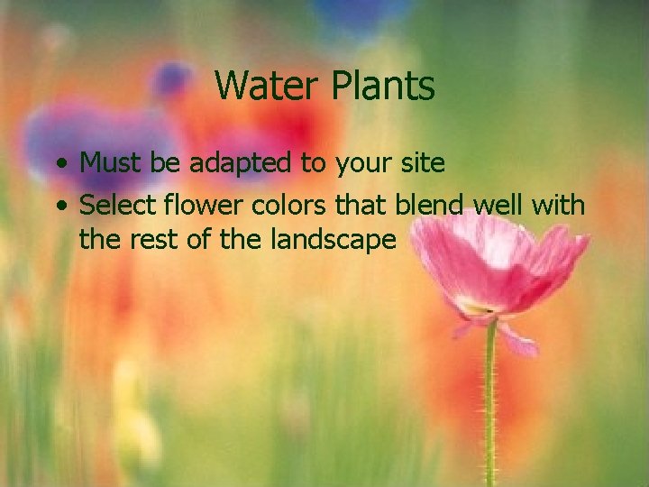 Water Plants • Must be adapted to your site • Select flower colors that Water Plants • Must be adapted to your site • Select flower colors that