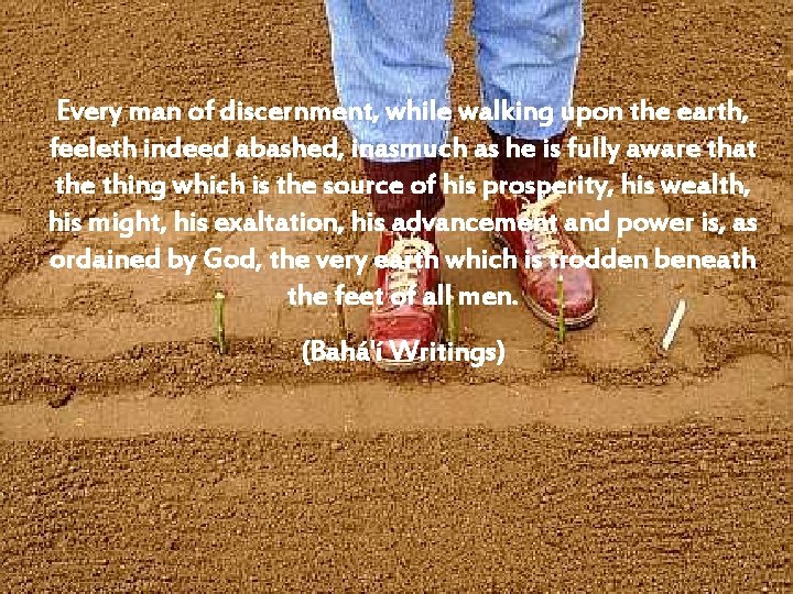 Every man of discernment, while walking upon the earth, feeleth indeed abashed, inasmuch as