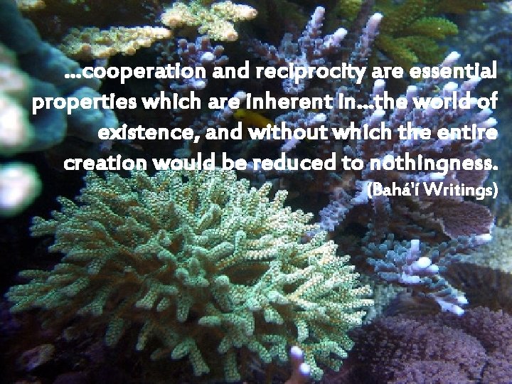 …cooperation and reciprocity are essential properties which are inherent in…the world of existence, and