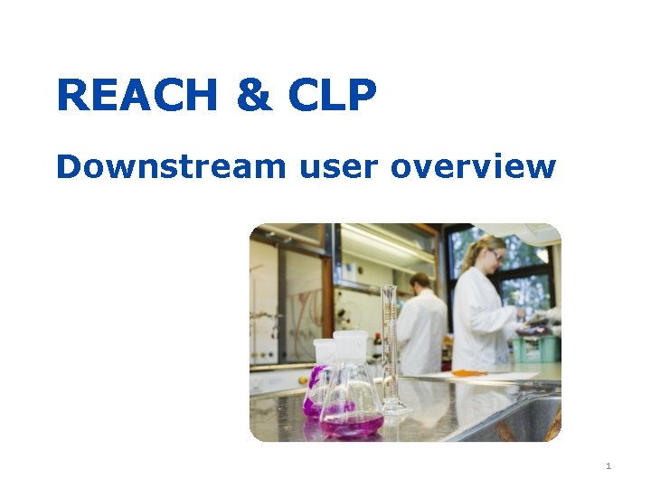 REACH & CLP Downstream user overview 1 