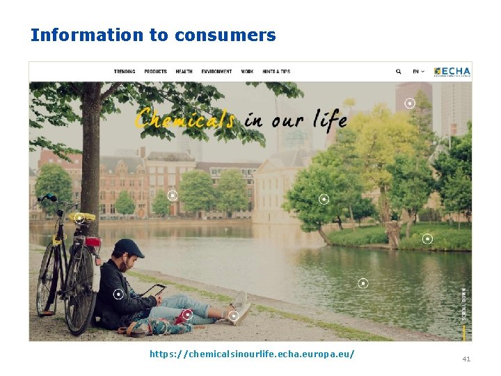 Information to consumers https: //chemicalsinourlife. echa. europa. eu/ 41 