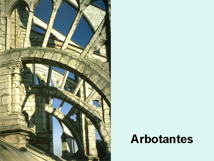 Arbotantes 