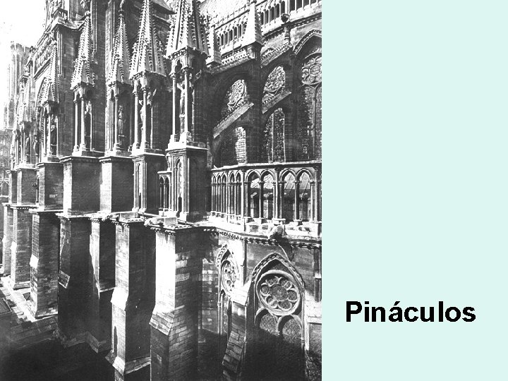 Pináculos 