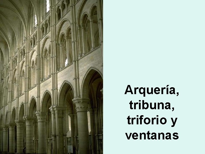 Arquería, tribuna, triforio y ventanas 