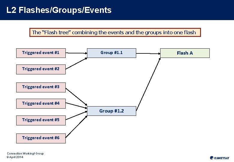 L 2 Flashes/Groups/Events The “Flash tree” combining the events and the groups into one