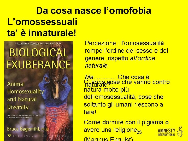 Da cosa nasce l’omofobia L’omossessuali ta’ è innaturale! Percezione : l’omosessualità rompe l’ordine del