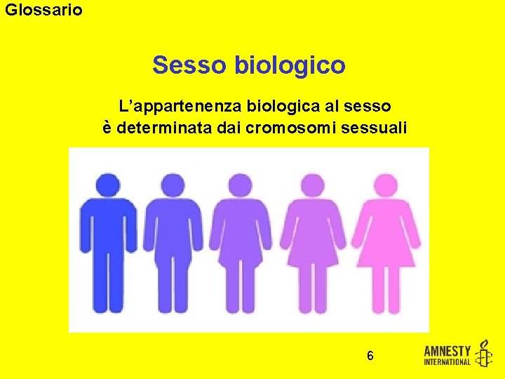 Glossario Sesso biologico L’appartenenza biologica al sesso è determinata dai cromosomi sessuali 6 