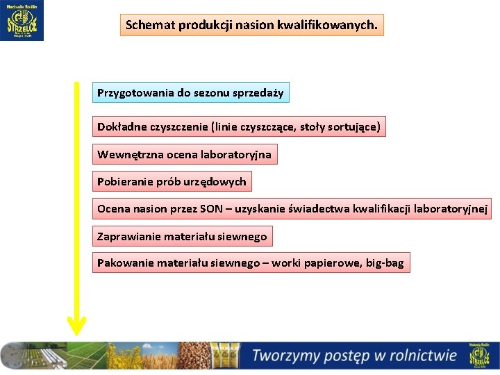 Schemat produkcji nasion kwalifikowanych. Przygotowania do sezonu sprzedaży Dokładne czyszczenie (linie czyszczące, stoły sortujące)