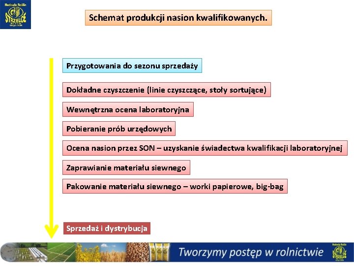 Schemat produkcji nasion kwalifikowanych. Przygotowania do sezonu sprzedaży Dokładne czyszczenie (linie czyszczące, stoły sortujące)