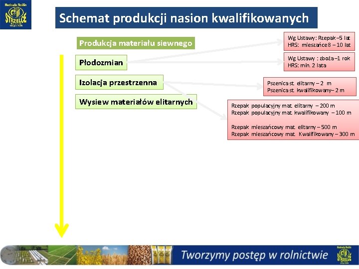 Schemat produkcji nasion kwalifikowanych Produkcja materiału siewnego Wg Ustawy: Rzepak – 5 lat HRS: