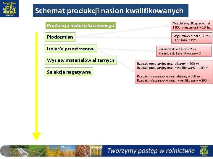 Schemat produkcji nasion kwalifikowanych Produkcja materiału siewnego Wg Ustawy : Rzepak – 5 lat