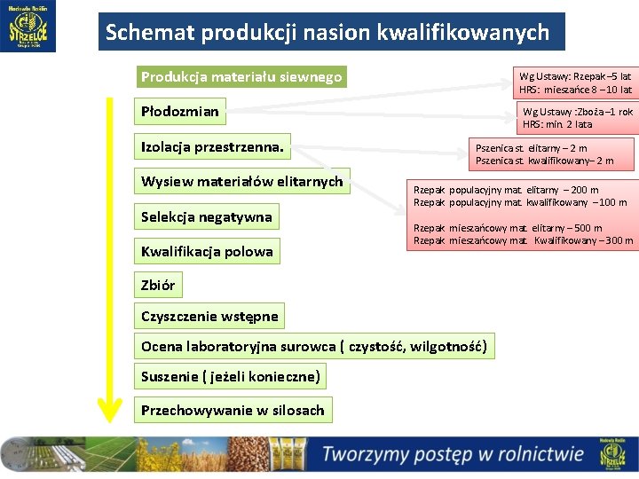 Schemat produkcji nasion kwalifikowanych Produkcja materiału siewnego Wg Ustawy: Rzepak – 5 lat HRS: