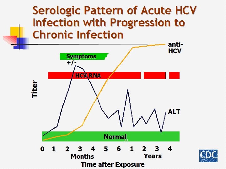 Serologic Pattern of Acute HCV Infection with Progression to Chronic Infection anti. HCV Symptoms