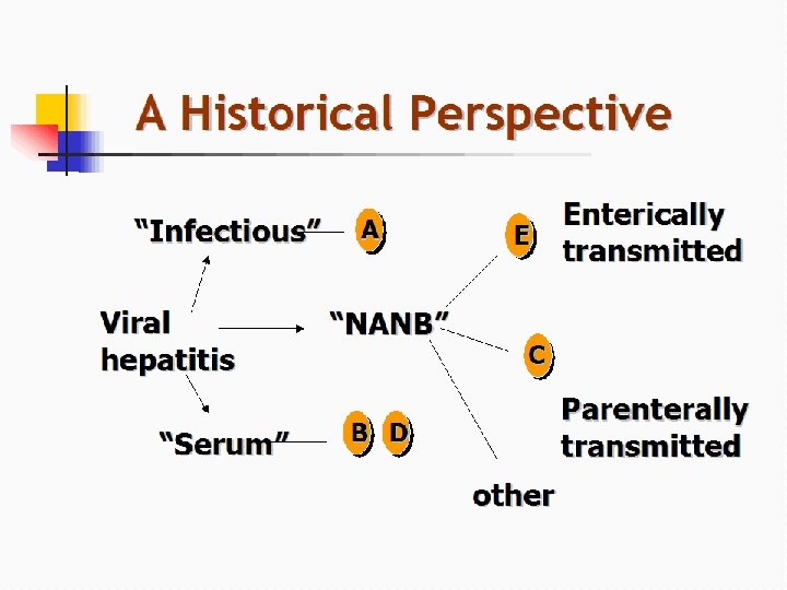A Historical Perspective “Infectious” Viral hepatitis “Serum” A “NANB” E Enterically transmitted C Parenterally