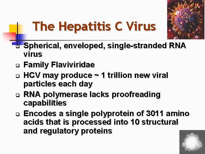 The Hepatitis C Virus q q q Spherical, enveloped, single-stranded RNA virus Family Flaviviridae