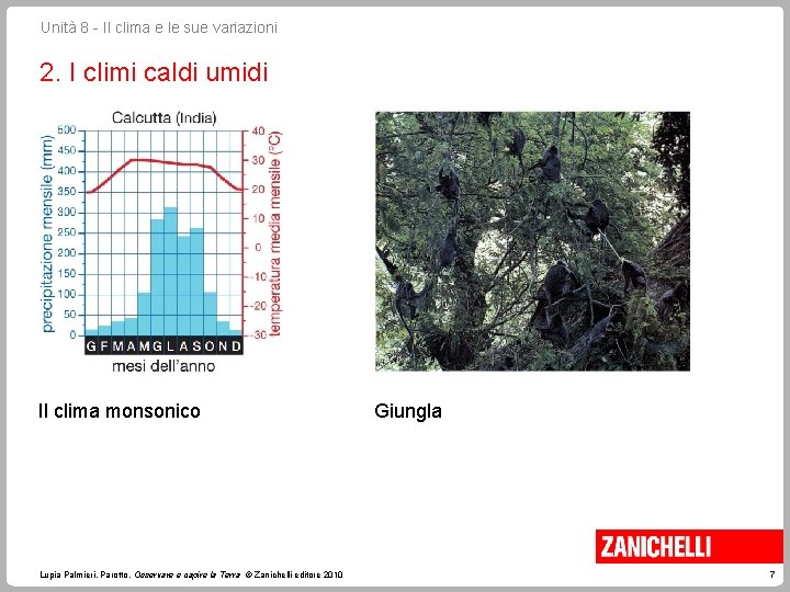 Unità 8 - Il clima e le sue variazioni 2. I climi caldi umidi