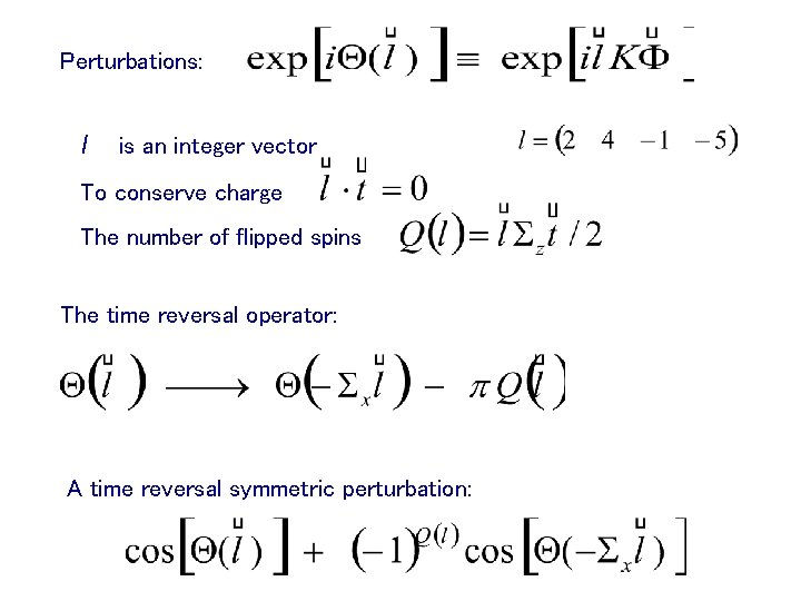 Perturbations: l is an integer vector To conserve charge The number of flipped spins