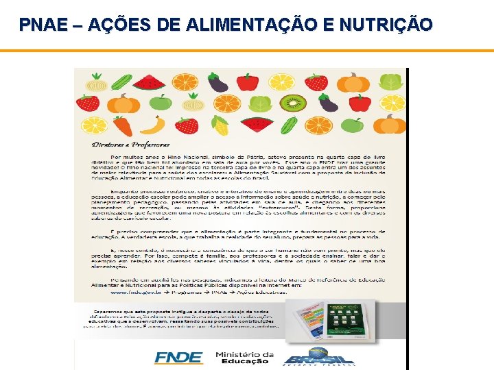 PNAE – AÇÕES DE ALIMENTAÇÃO E NUTRIÇÃO 